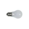 Lampe E27 40W 47mmØ 88mm 230V Kugelform Samsung 4713-001201 Original Samsung -Hausgeräte Verkauf 20f393bc57da46c0b74411401c49bf623252F0252F5252F1252F30513be5a8fa621dca06590599d0bd9f37192197 main