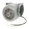 Lüftermotor 00643411 -Hausgeräte Verkauf 666addcc564a4f8983cbafb9d14bb8882252Fe252F5252F3252F2e537bba660c51af10c9ec2e58db37e0770fba4c main